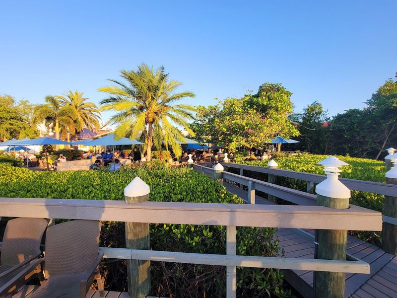 A Setting That Feels Like an Escape