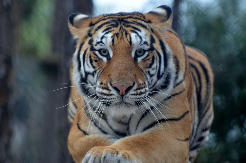 More Than 170 Animals Under One Roof: The Incredible Variety