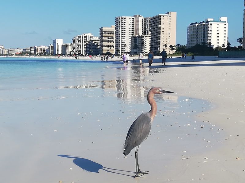 Crescent Beach and the Gulf Shore