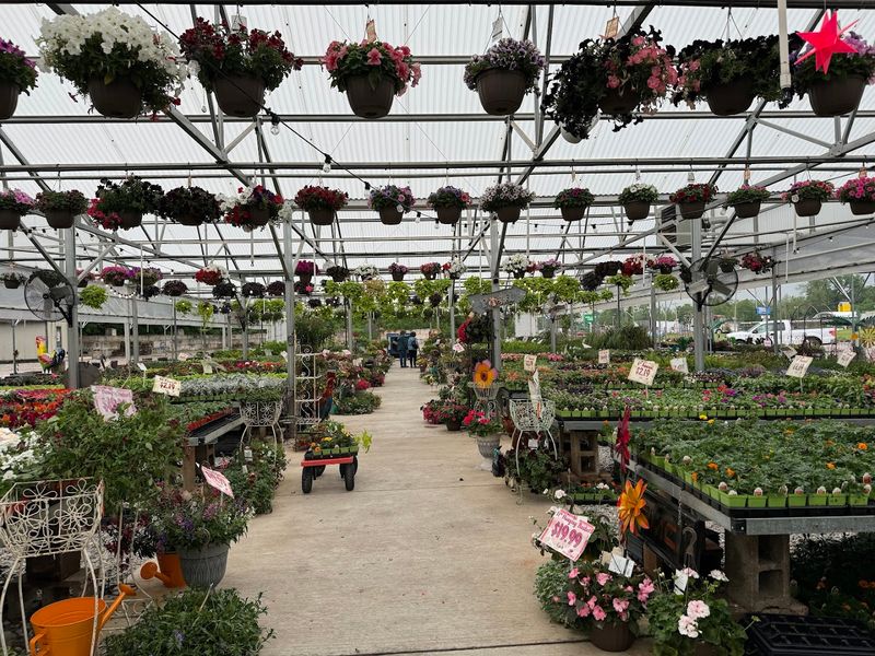 The Flower Selection That Keeps People Coming Back