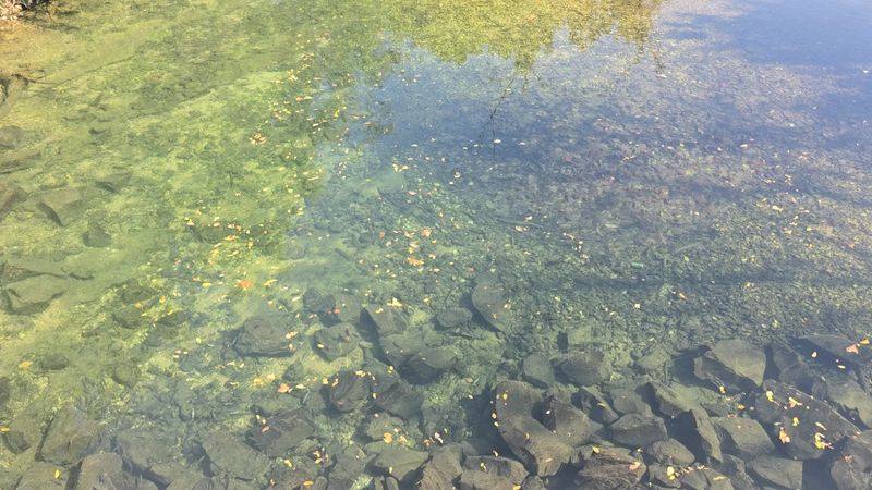 The Water That Stops You in Your Tracks