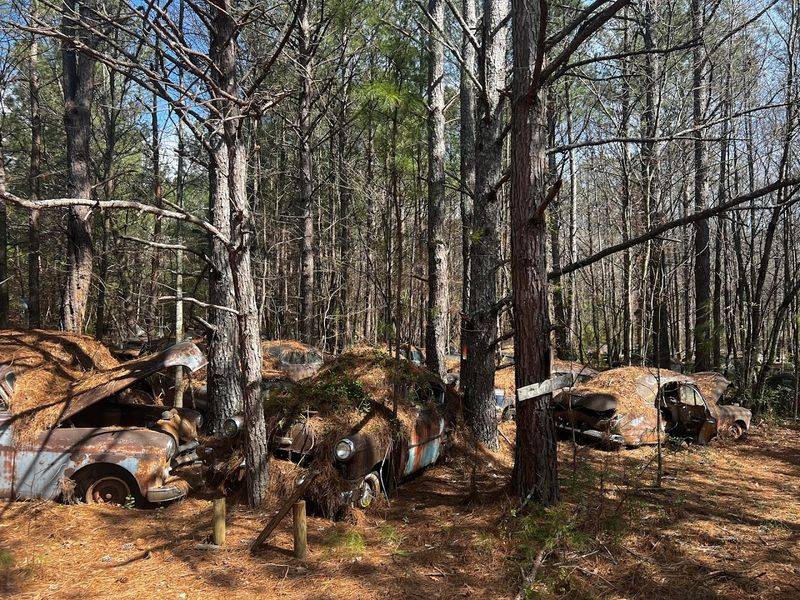 What to Expect from the Trails