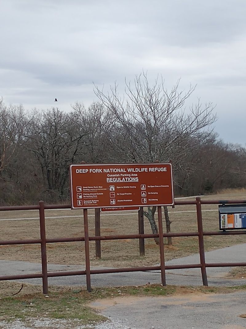 Why This Hidden Trail Deserves Far More Attention