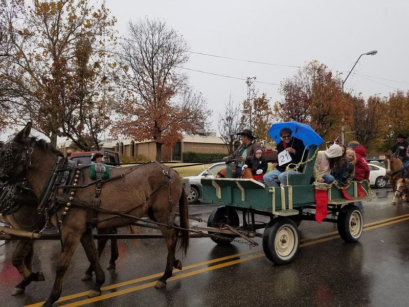 Annual Events and Festivals That Bring the Town to Life