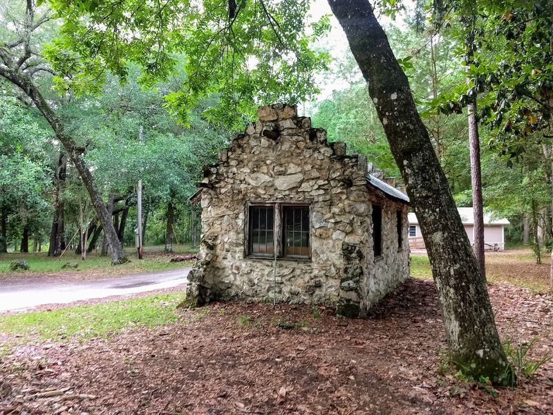 A Ghost Town Buried Beneath the Trees