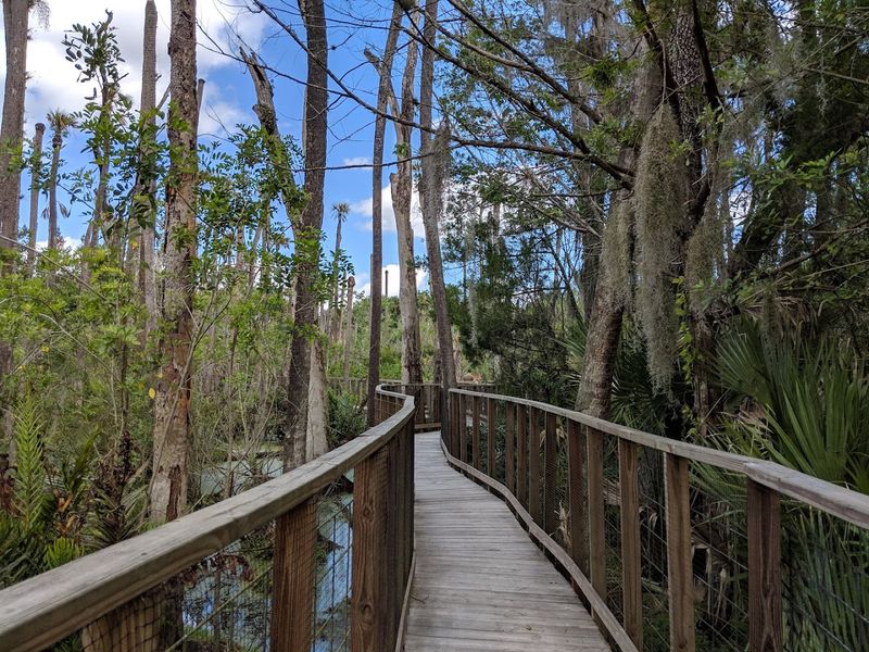 Seminole Native American History: A Lesson You Did Not Expect