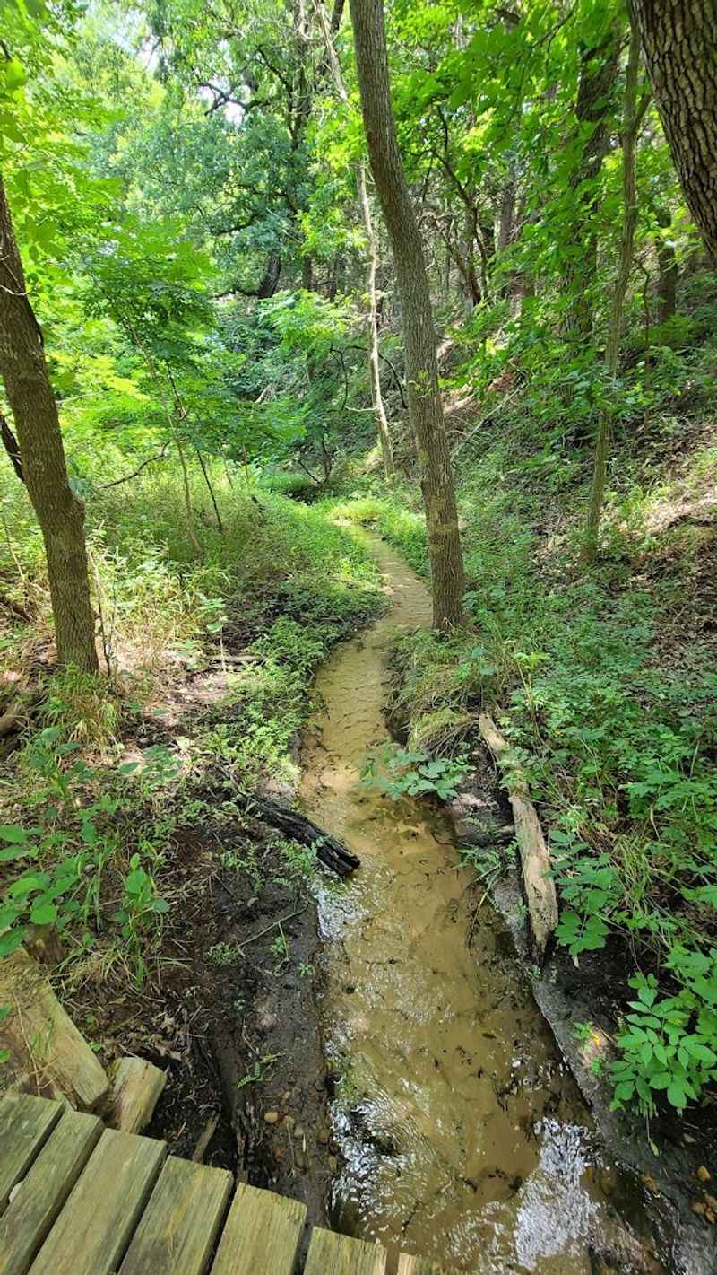 Wildlife and Natural Scenery Throughout the Park