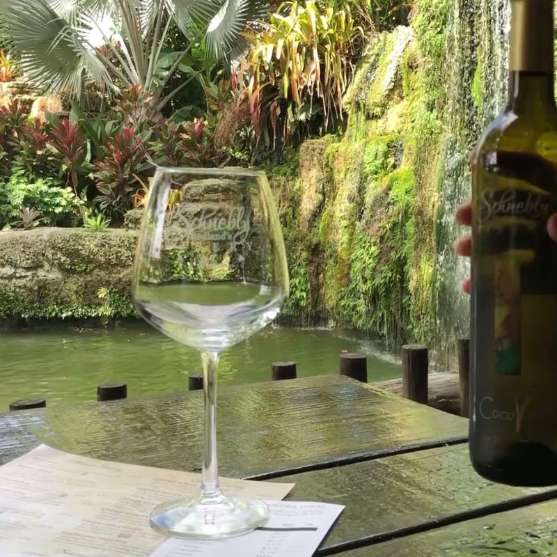 Mango Magic in Every Sip