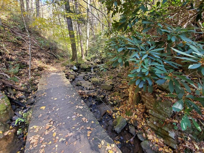 Easy, Moderate, Then a Wake-Up Call