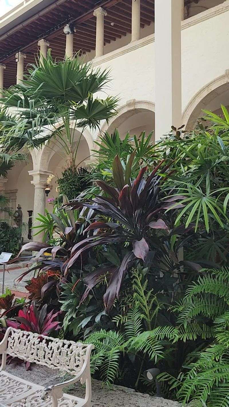 A Photographer's Dream at Every Turn