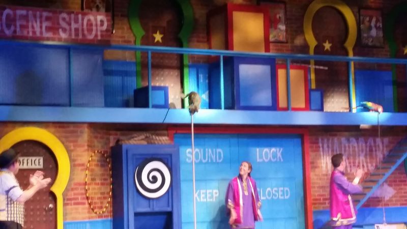 What Makes the Trainers Worth Watching