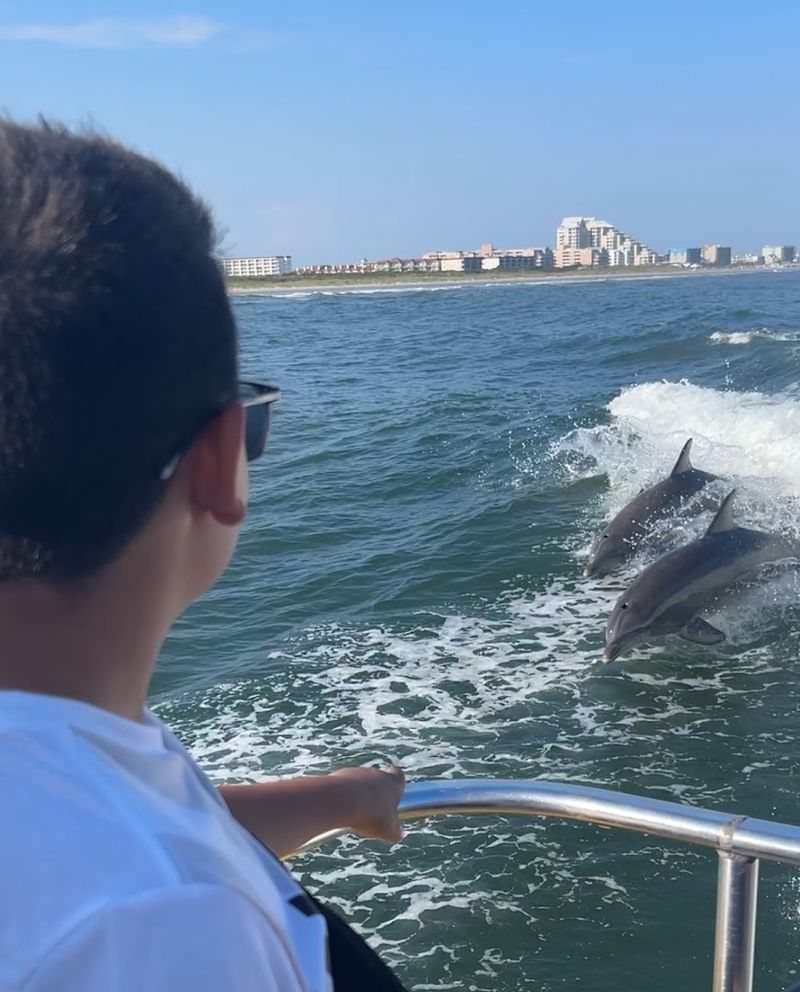 Captain Al: The Man Who Knows Where the Dolphins Are