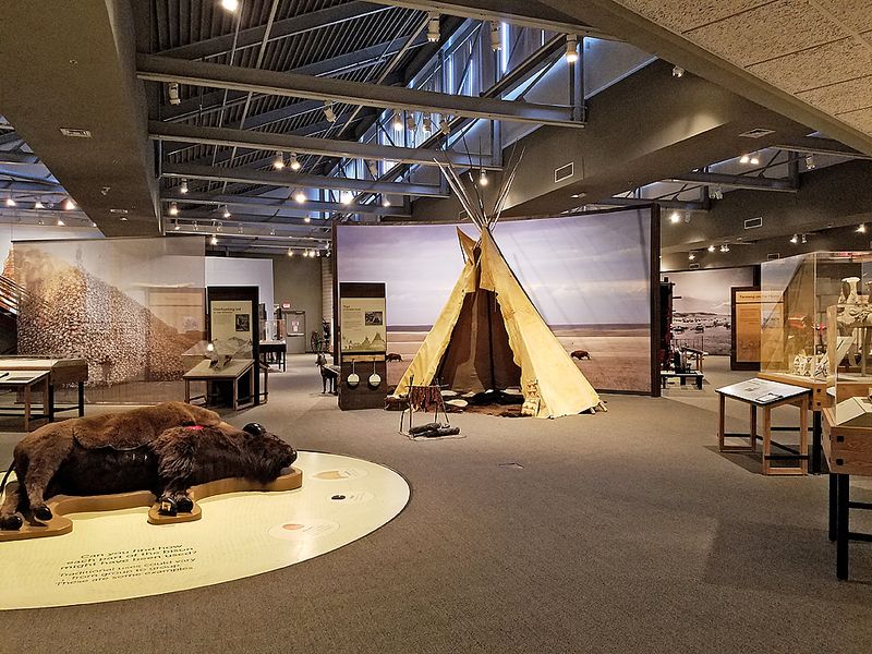 Hands-On Exhibits That Make Learning Feel Like Play