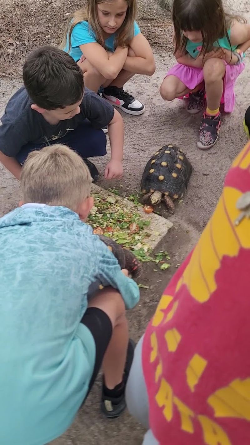 Every Animal Has a Backstory: Rescue Stories That Stay With You