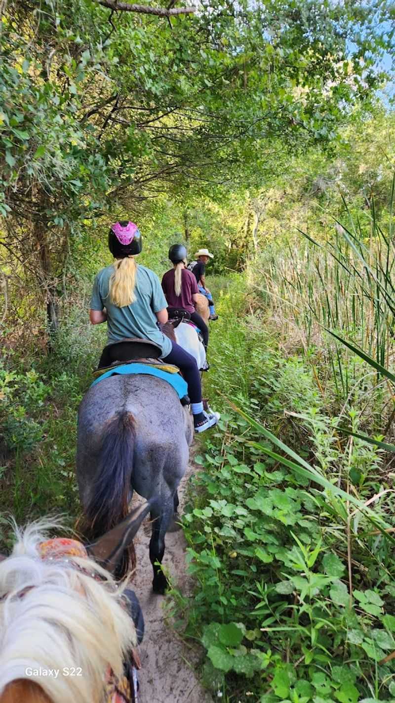 Ride Packages: Choosing the Right Option for Your Group