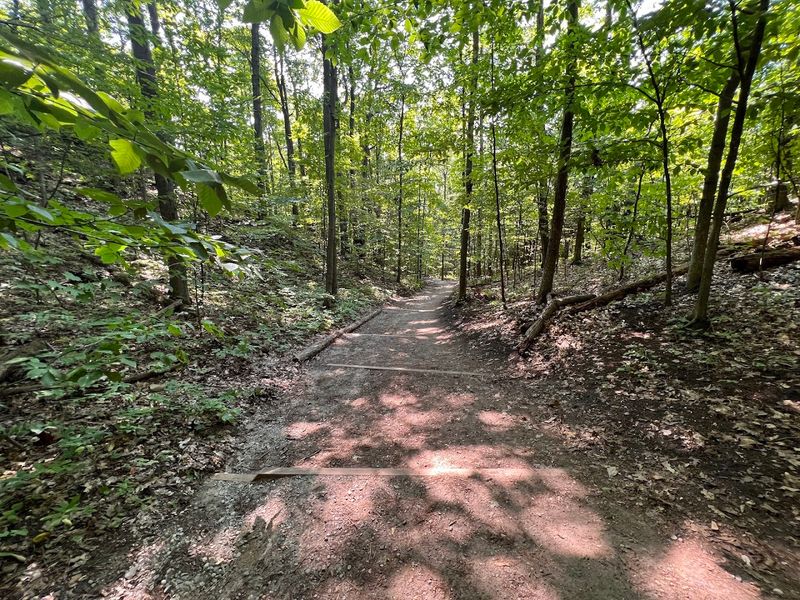 The 400-Foot Elevation Gain: A Climb Worth Every Step