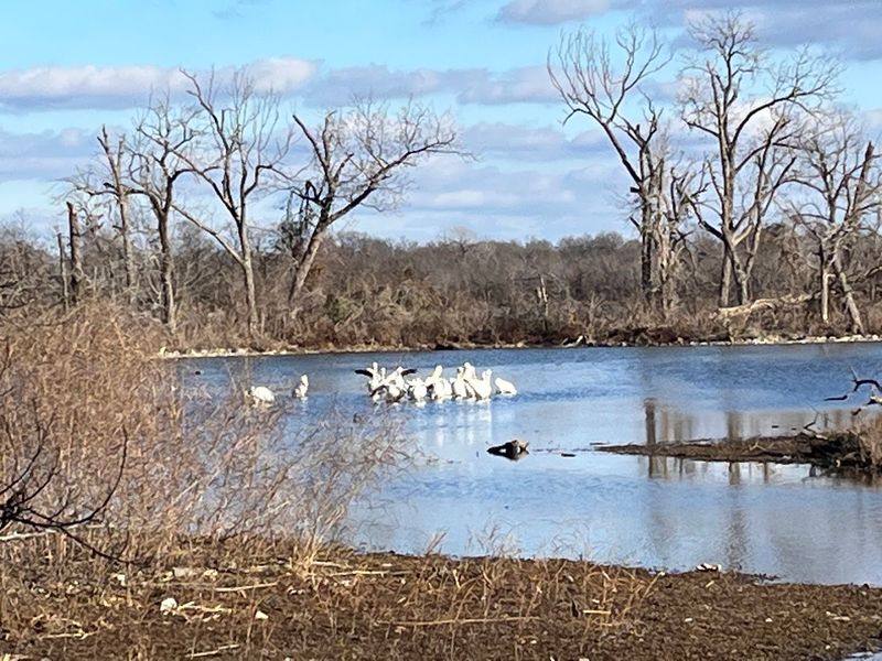 Wildlife Encounters That Catch You Off Guard