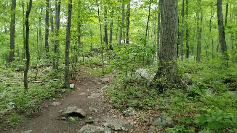 What the Hike Actually Looks Like