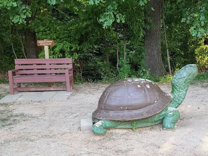 Wildlife You Might Spot Along the Way