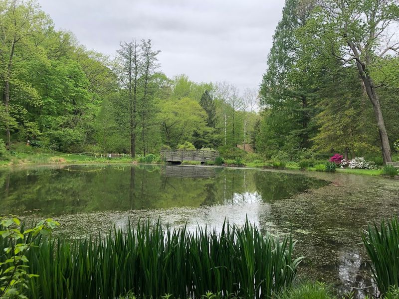 The Lily Pad Pond and Lower Garden