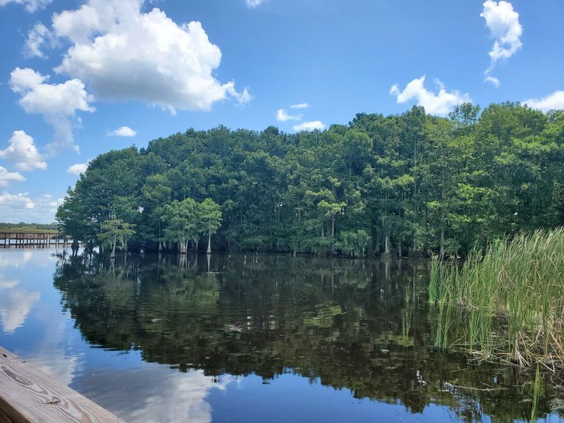 The Free Tram Tours That Deserve More Credit