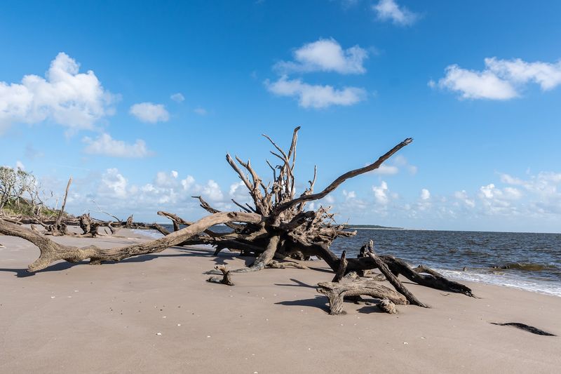 What the Beach Actually Looks Like Up Close