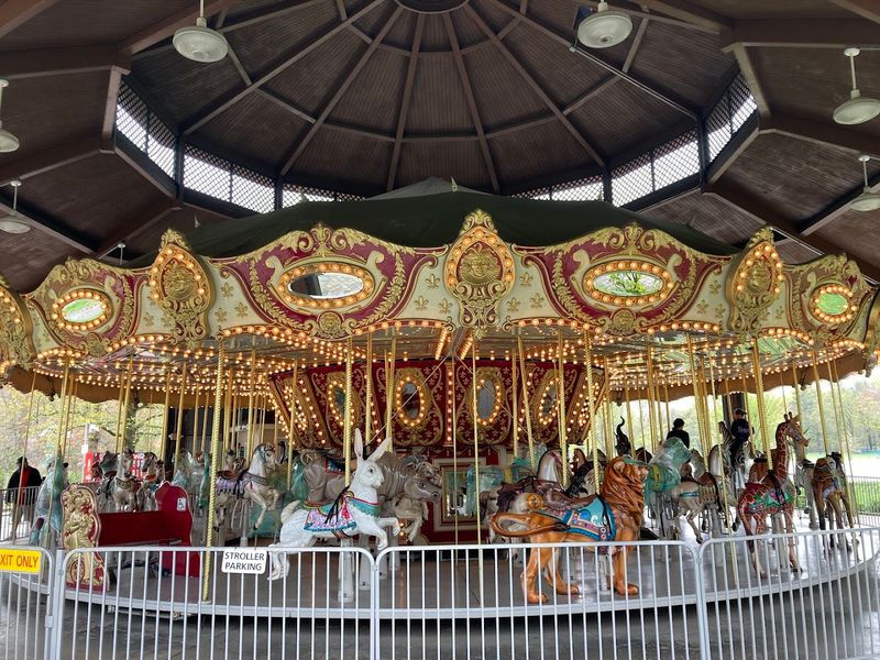 Carousel, Splash Pad, and Playground: Beyond the Animals