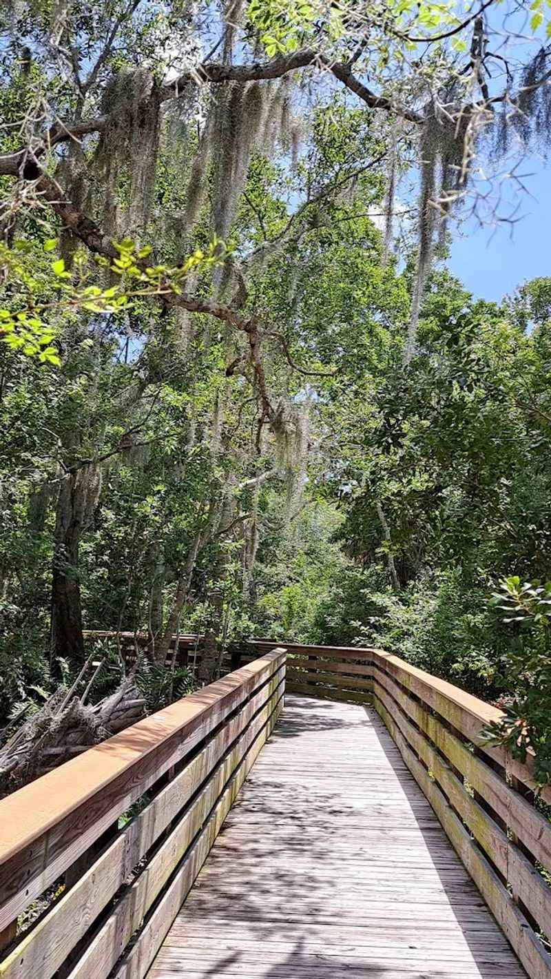 Programs, Events, and Year-Round Activities