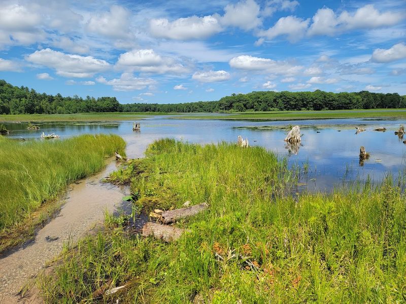 Wildlife You Did Not Expect to See This Close