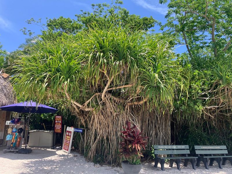 Family-Friendly Atmosphere and Visitor Amenities