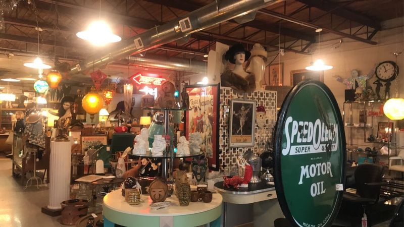 Steve, the Owner Whose Passion Powers the Whole Operation