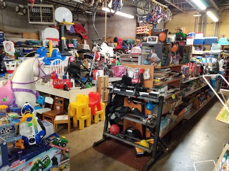 Pets, Plants, and the Unexpected Finds