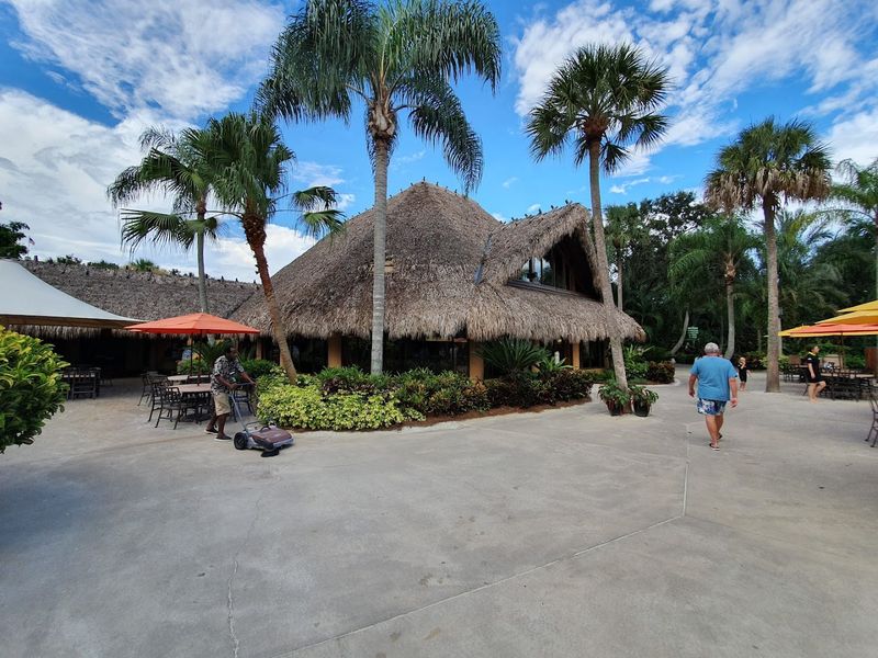 Animal Encounters Beyond the Water