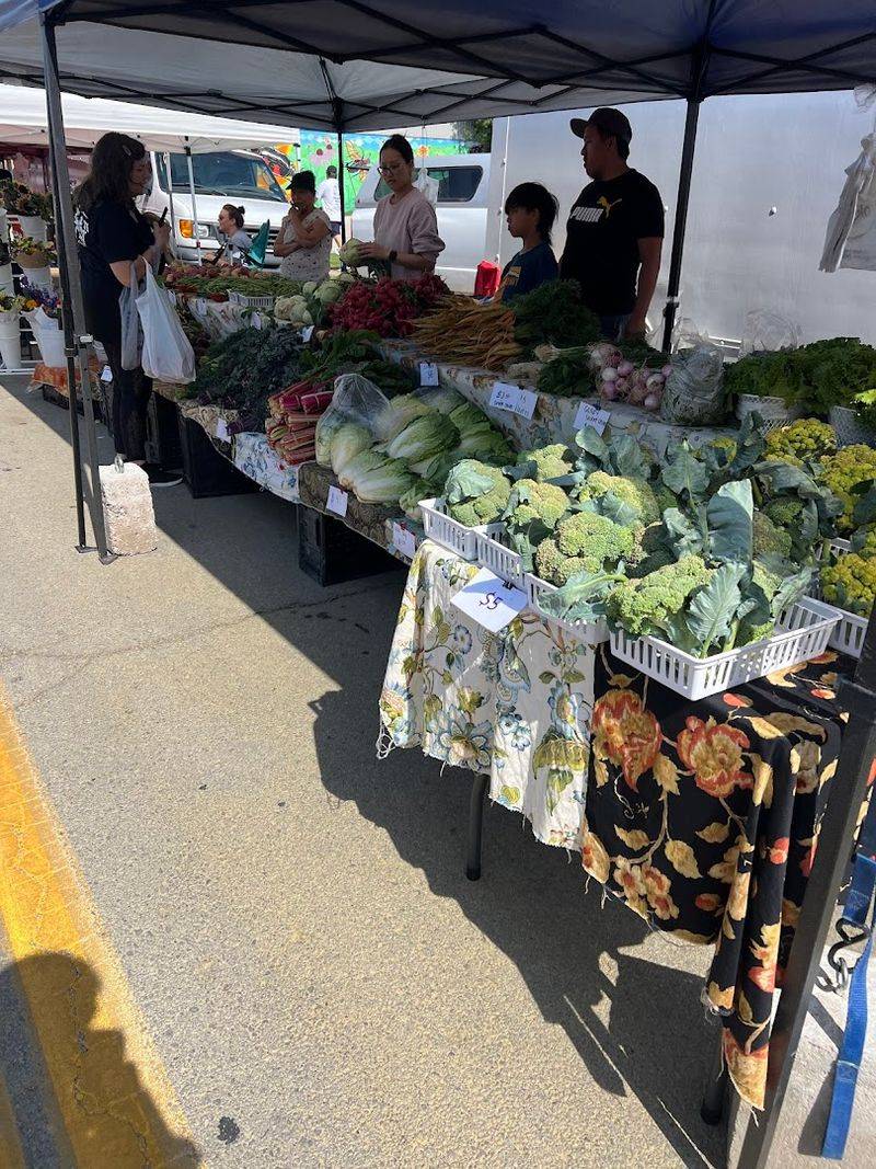 Practical Tips for First-Time Visitors