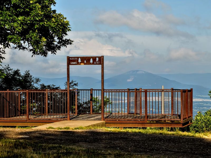 The Pavilion and Picnic Setup