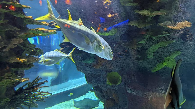 Worth the Trip: What Keeps People Coming Back