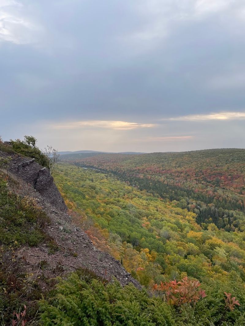 Birdwatching at the Top of the World