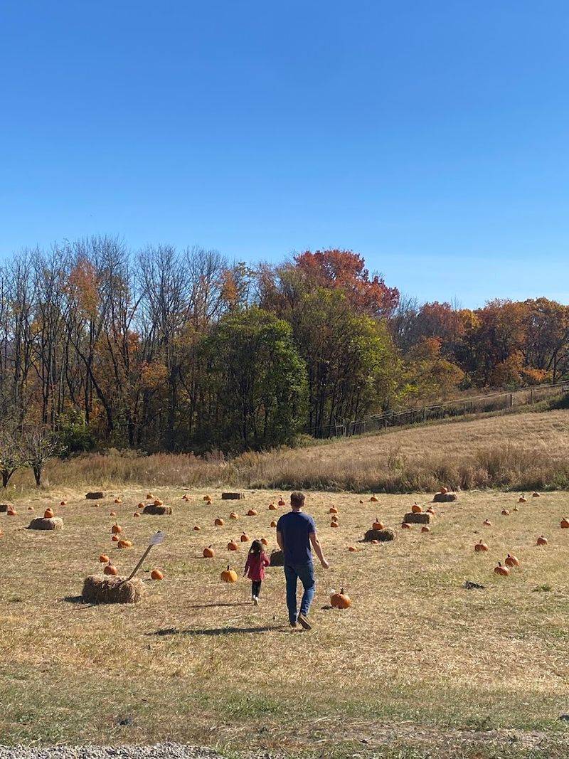 Pumpkin Season and the October Extension