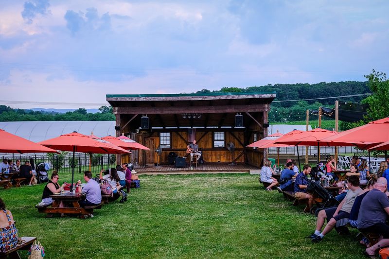 The Grounds: More Than Just a Pretty View