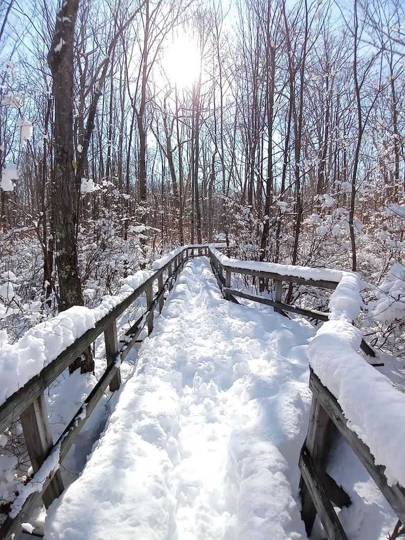 Seasons Shape Everything Here