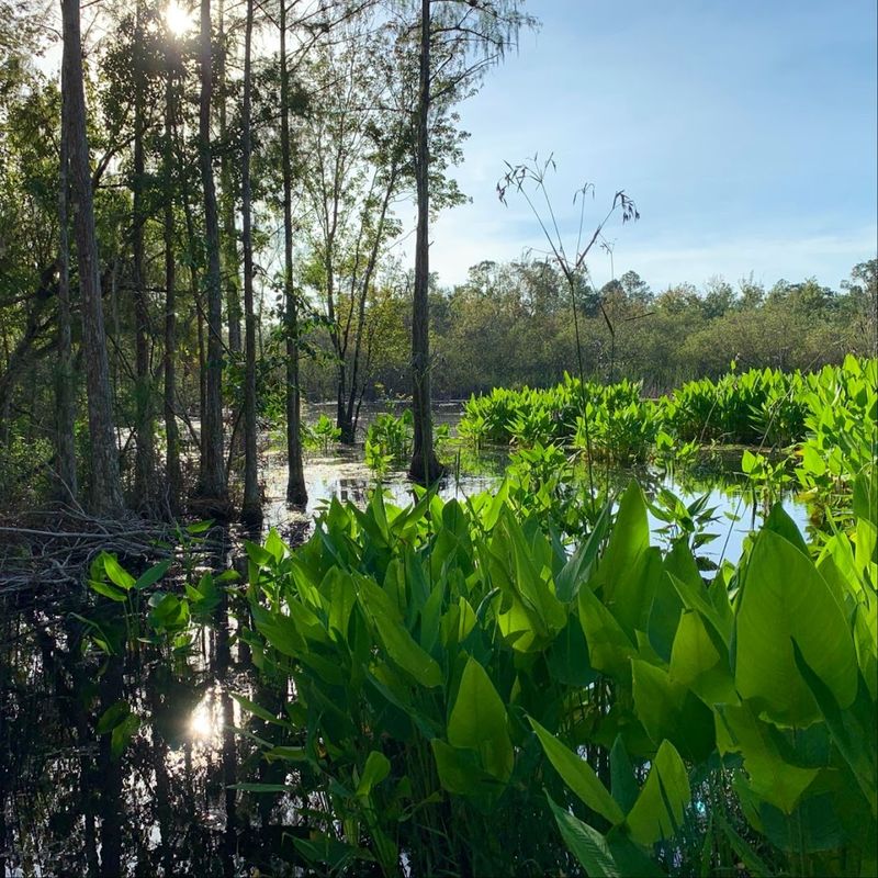 Best Time to Visit: Seasons, Crowds, and Florida Heat