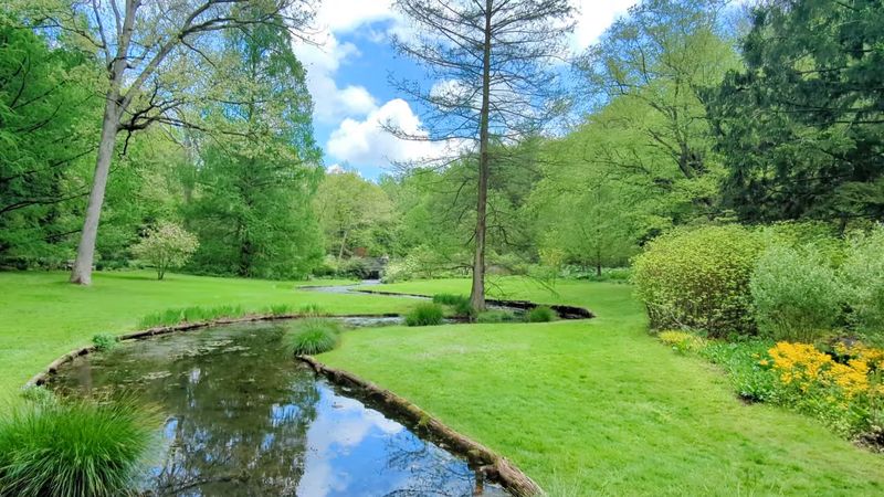 Admission, Donations, and What It Costs