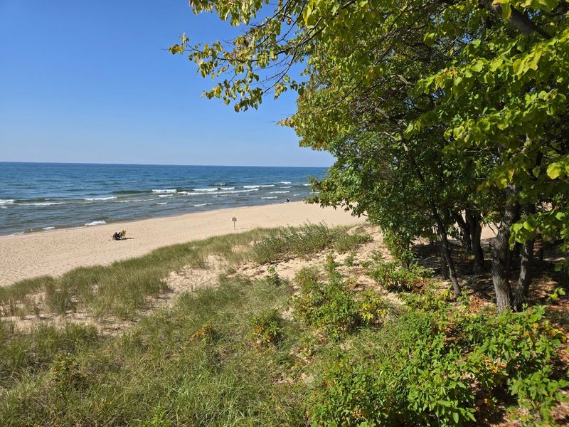 Dog-Friendly Trails and a Beach That Welcomes Four-Legged Visitors