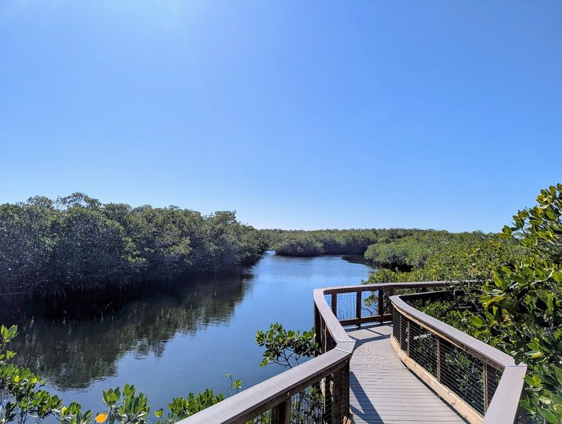The Mangrove Boardwalk Trail