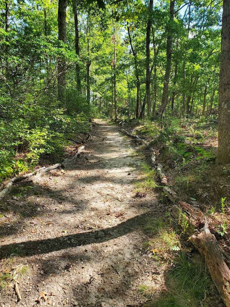 Beehives, Pollinators, and a Little Buzz on the Trails