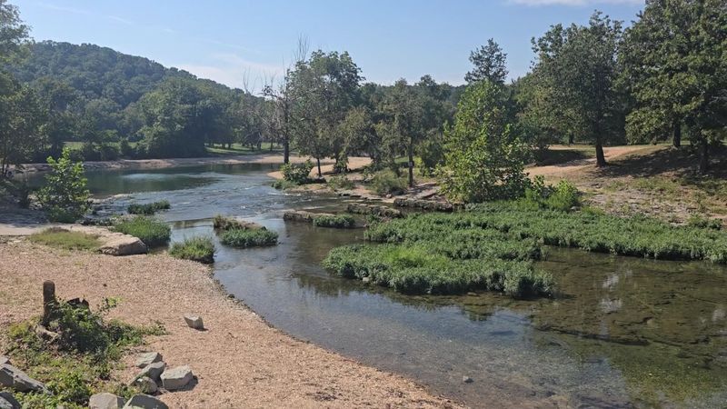 What the Park Grounds Look Like