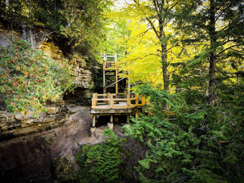 Viewing Options for Every Energy Level