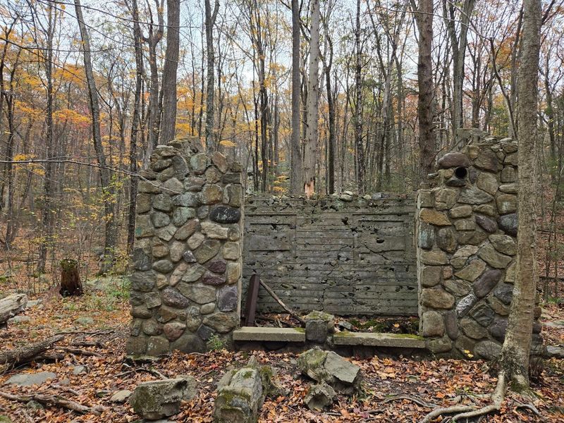 The Ruins Hidden in the Woods
