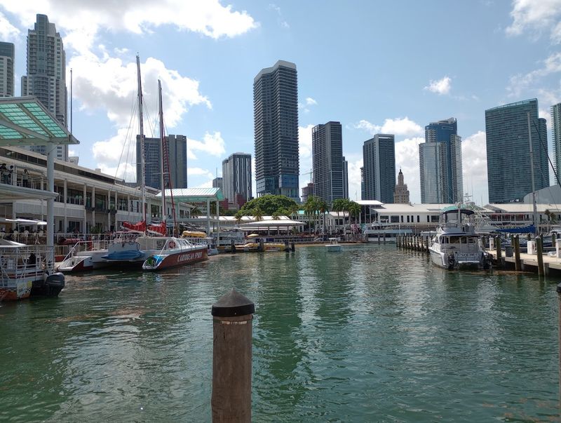 Practical Tips for Parking and Timing