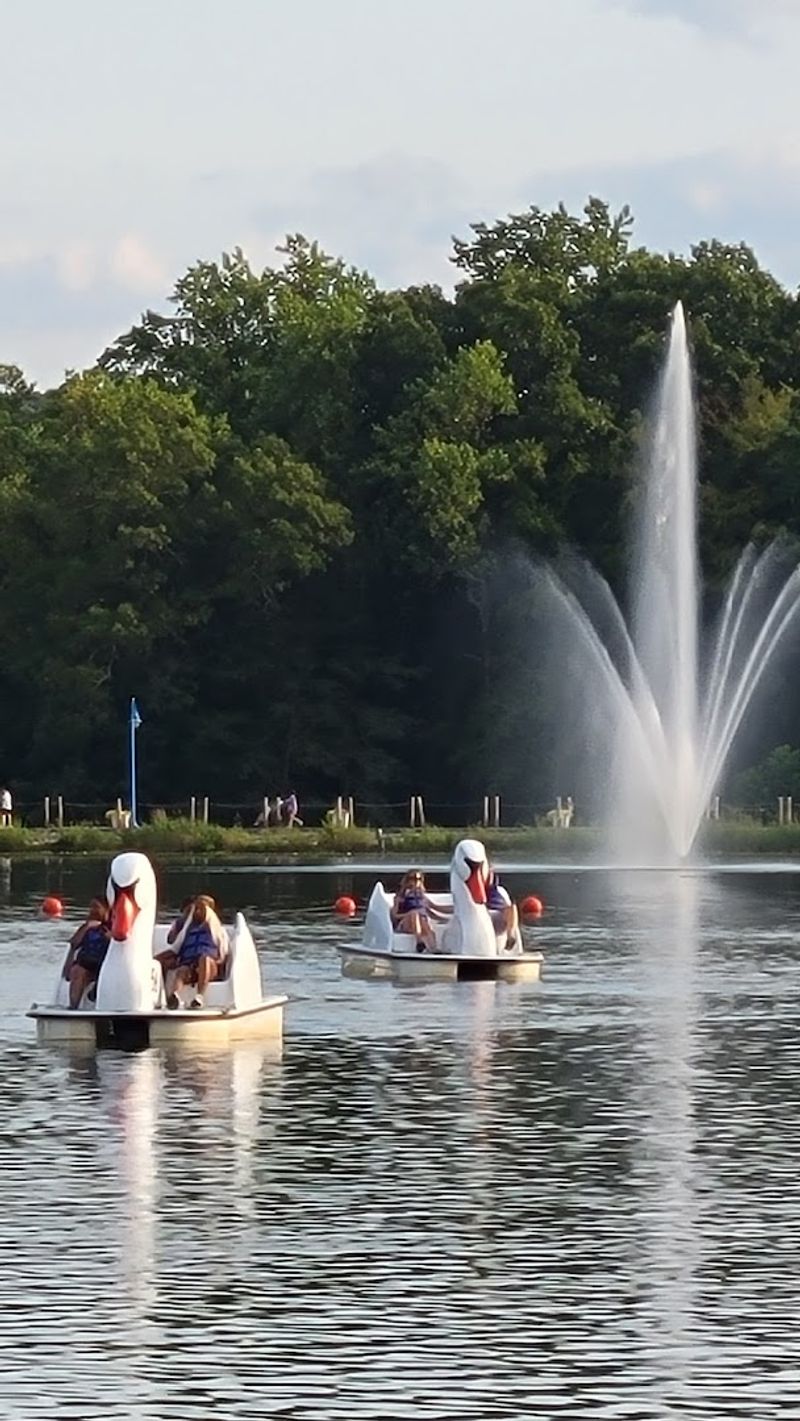 Paddle Boats on the Reservoir